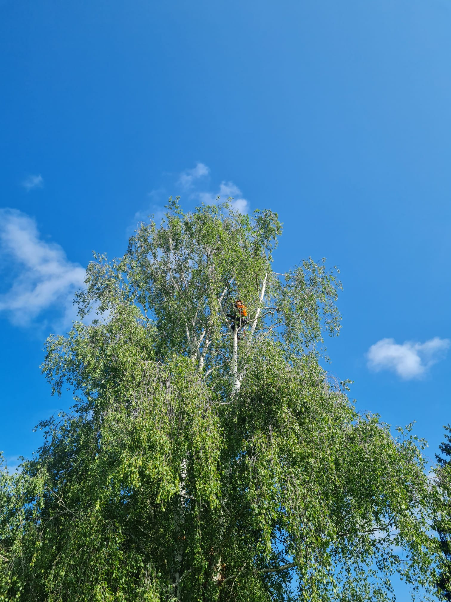 IMG-20251010-WA0014